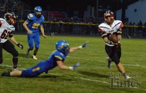 West Branch at Wapello - 4